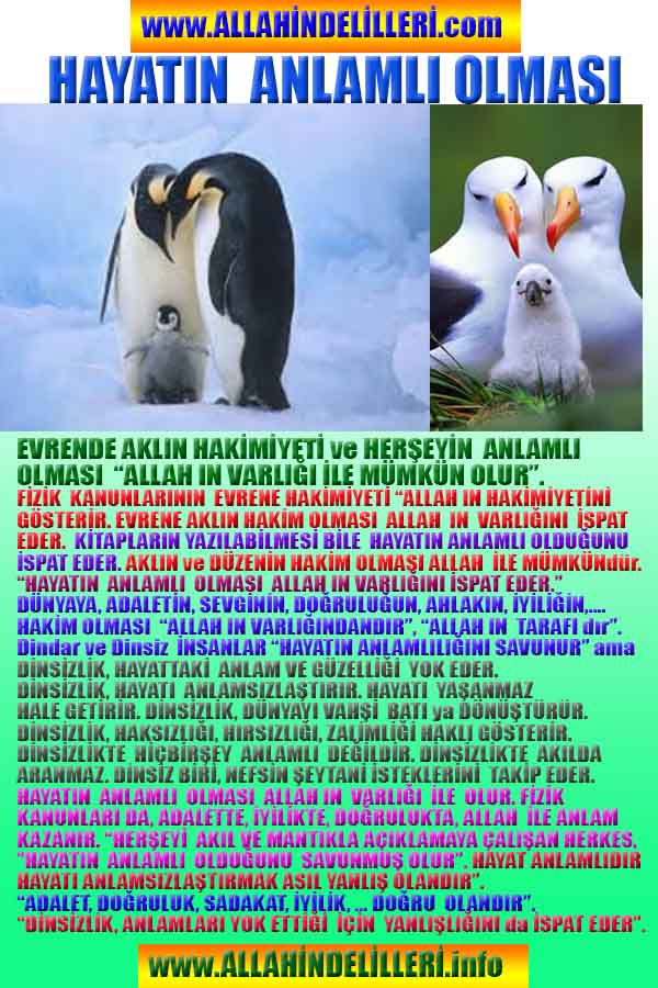 Allahin Delilleri1